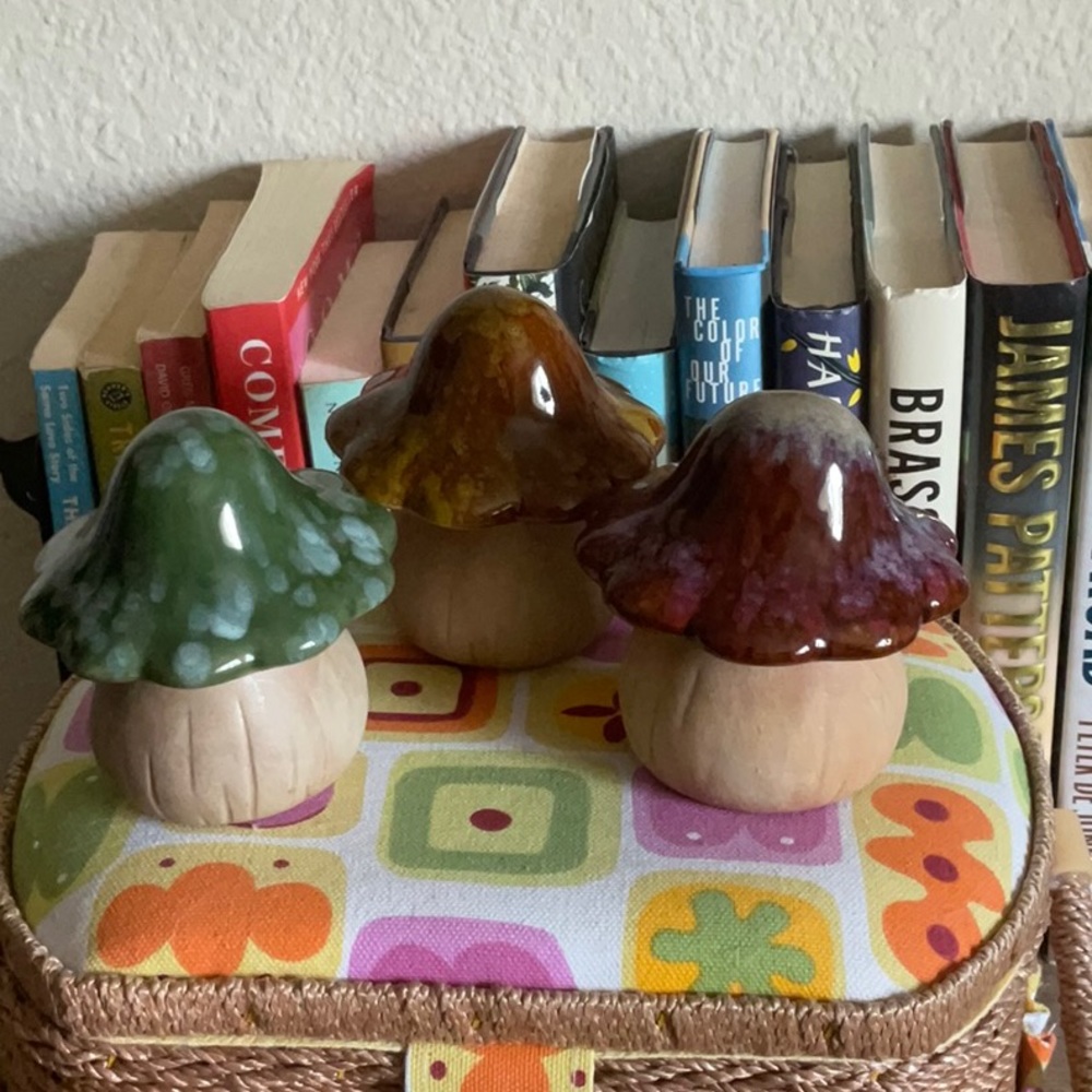 🍄 Ceramic Mushroom Set